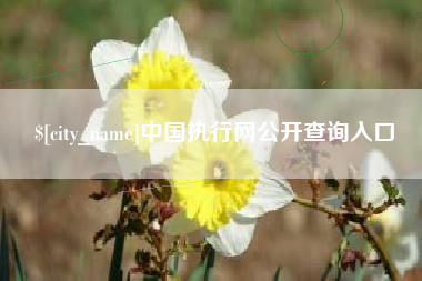 自贡中国执行网公开查询入口