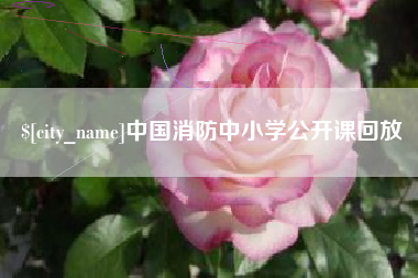 自贡中国消防中小学公开课回放