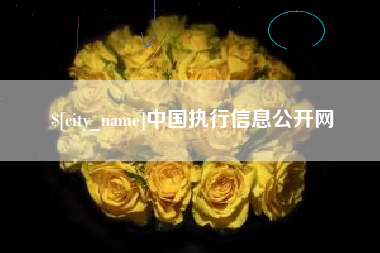 自贡中国执行信息公开网