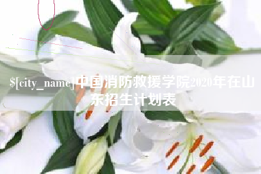 自贡中国消防救援学院2020年在山东招生计划表