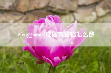 自贡地图九宫格怎么数