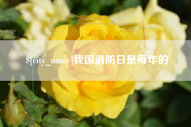 自贡我国消防日是每年的