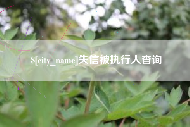 自贡失信被执行人杳询