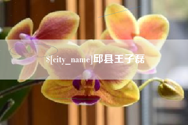 自贡邱县王子磊