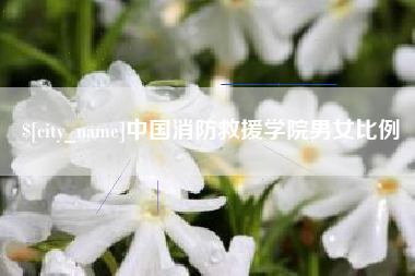 自贡中国消防救援学院男女比例