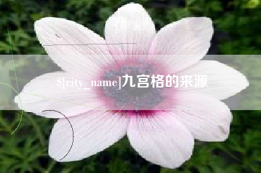 自贡九宫格的来源
