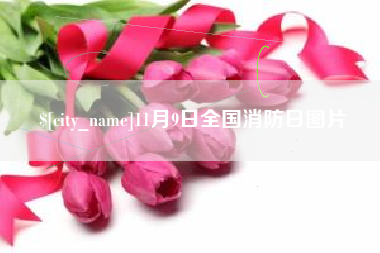自贡11月9日全国消防日图片