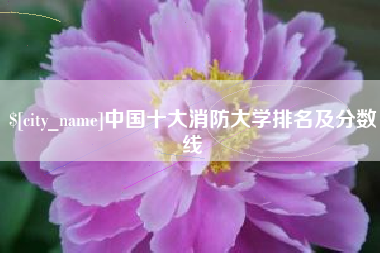 自贡中国十大消防大学排名及分数线