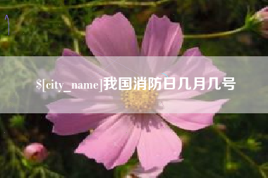 自贡我国消防日几月几号
