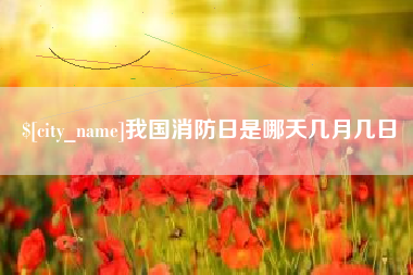 自贡我国消防日是哪天几月几日