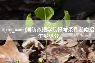自贡消防救援学院报考条件湖南招生多少分
