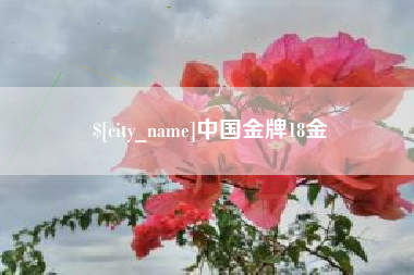 自贡中国金牌18金