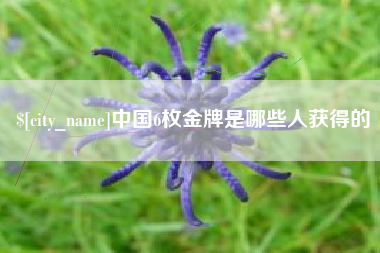自贡中国6枚金牌是哪些人获得的