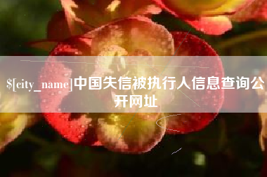 自贡中国失信被执行人信息查询公开网址
