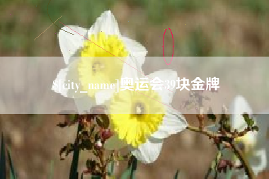自贡奥运会39块金牌