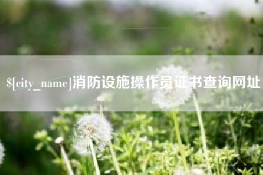 自贡消防设施操作员证书查询网址