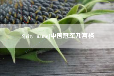 自贡中国冠军九宫格