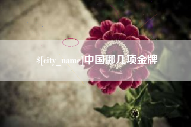 自贡中国哪几项金牌
