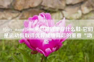 自贡5000米世界冠军穿什么鞋-它们是运动员取得优异成绩背后的重要“功臣”