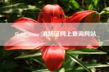 自贡消防证网上查询网站