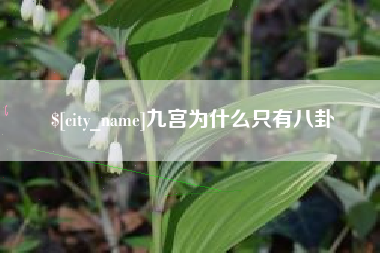 自贡九宫为什么只有八卦
