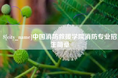自贡中国消防救援学院消防专业招生简章