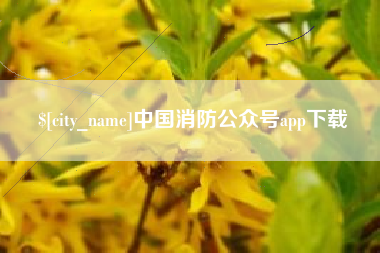自贡中国消防公众号app下载