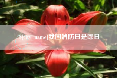 自贡我国消防日是哪日
