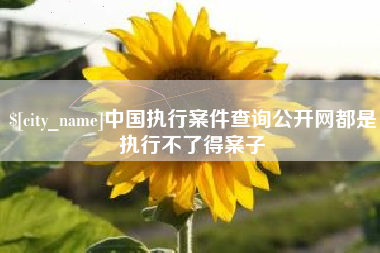 自贡中国执行案件查询公开网都是执行不了得案子