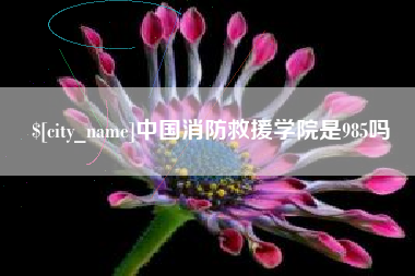 自贡中国消防救援学院是985吗
