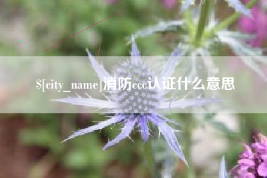自贡消防ccc认证什么意思