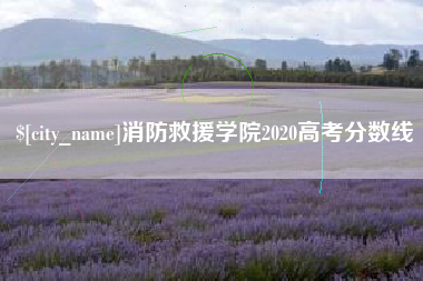 自贡消防救援学院2020高考分数线
