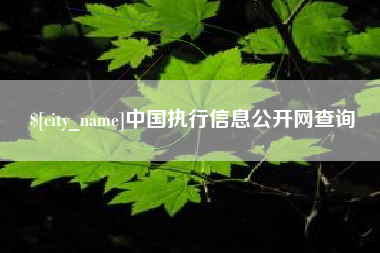 自贡中国执行信息公开网查询