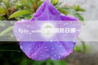 自贡全国消防日哪一