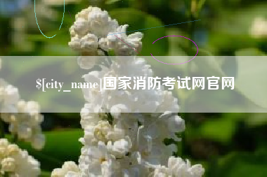 自贡国家消防考试网官网