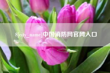 自贡中国消防网官网入口