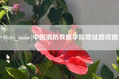 自贡中国消防救援学院地址路线图