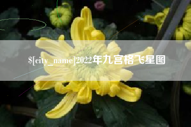 自贡2022年九宫格飞星图