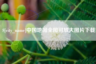 自贡中国地图全图可放大图片下载