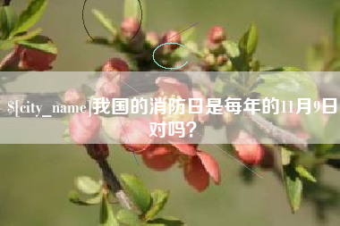 自贡我国的消防日是每年的11月9日对吗？