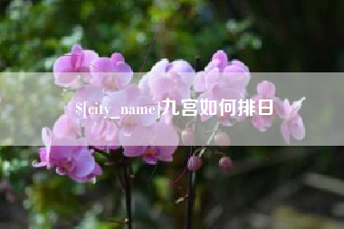 自贡九宫如何排日