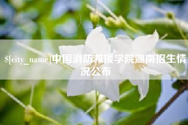 自贡中国消防救援学院湖南招生情况公布