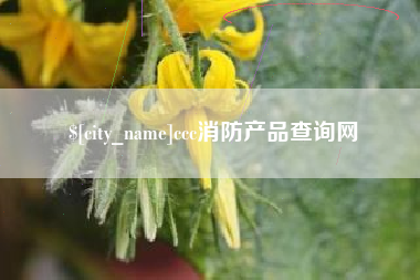 自贡ccc消防产品查询网