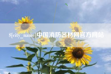 自贡中国消防器材网官方网站
