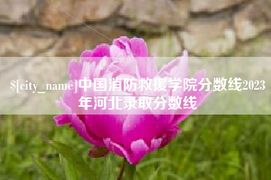 自贡中国消防救援学院分数线2023年河北录取分数线