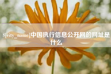 自贡中国执行信息公开网的网址是什么