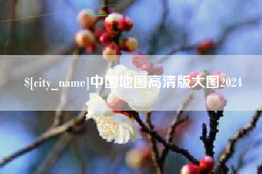 自贡中国地图高清版大图2024