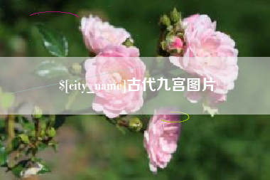 自贡古代九宫图片