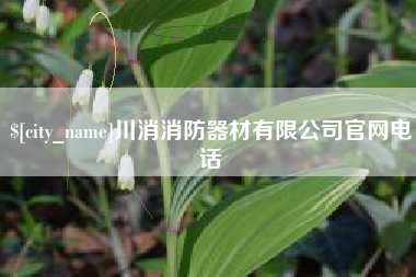自贡川消消防器材有限公司官网电话