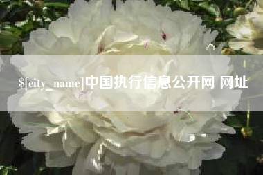 自贡中国执行信息公开网 网址